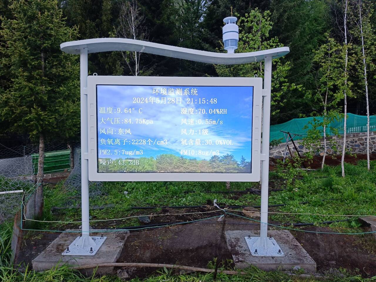 新疆阿勒泰阿爾泰山國有森林局高智能負氧離子 (1).jpg